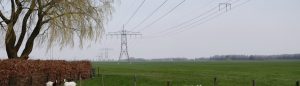 TenneT-ACCC
